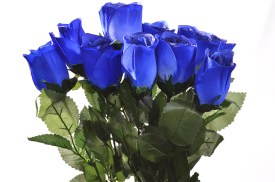 Rosa individual 10 varas AZUL lisa (2).jpg